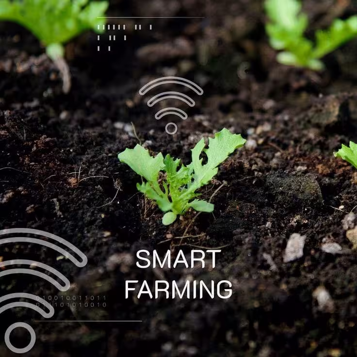 Disorganized community garden without coordination tools